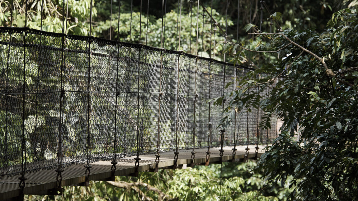 Hanging Bridge in the Canopy at Arenal Springs Hanging Bridges Park