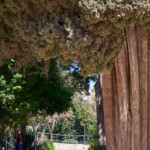 Palace Gardens, Malta