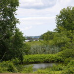 Haley Farm Spring 2016 - Pond and view towards the cove