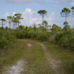 Savannas Preserve State Park