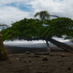 Beaches at Corcovado National Park